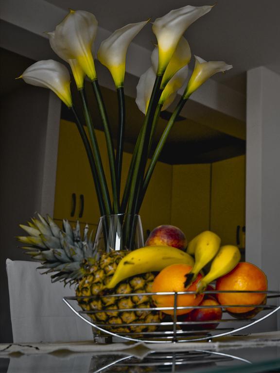 Apartment Roma Dubrovnik Szoba fotó